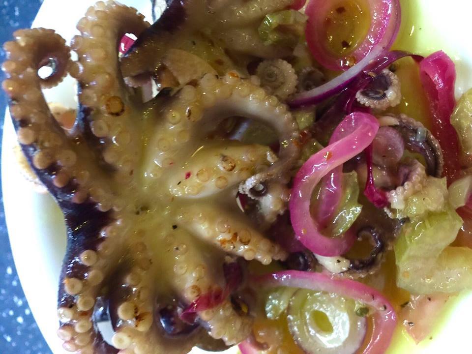 Oktopus Salat