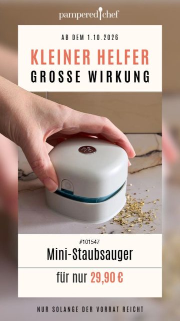 102026 Grafik Mini Staubsauger DEAT RE 300926